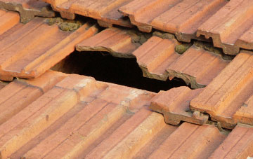 roof repair Brinsea, Somerset