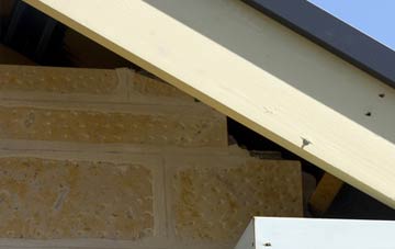 soffit repair Brinsea