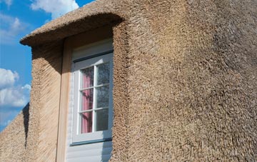 Brinsea thatch roof disadvantages