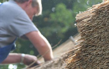 professional Brinsea thatchers